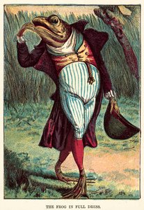 La grenouille en grande tenue